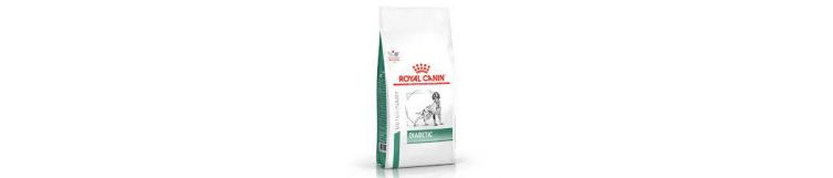 Royal Canin Veterinary Diet Dog Diabetic